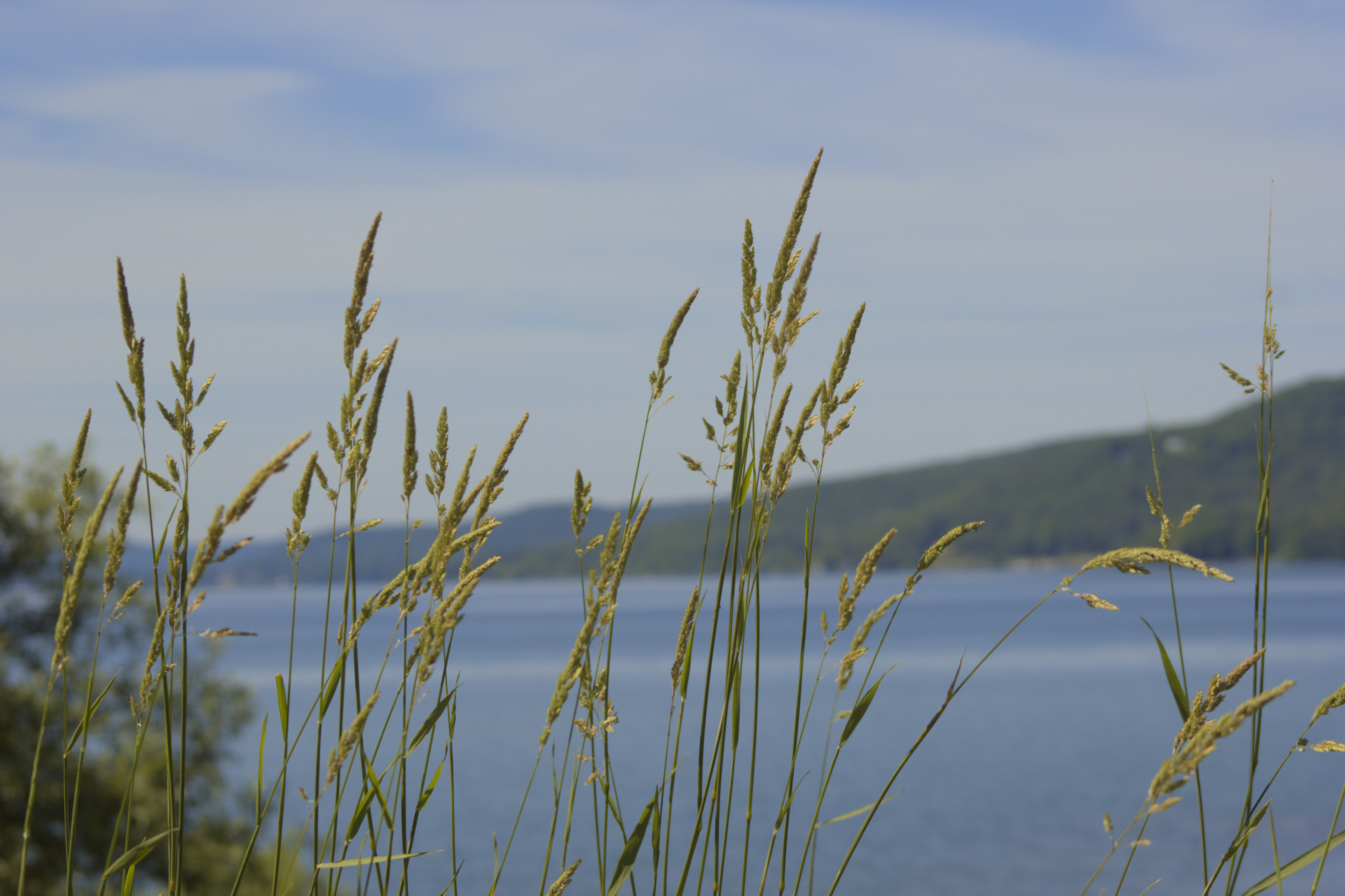 nature and landscape photo